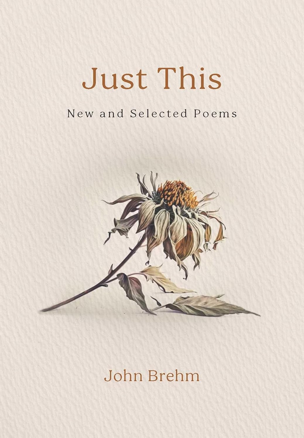 Just This - New and Selected Poems by John Brehm (cover)